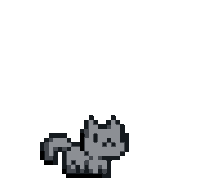 Jumping cat